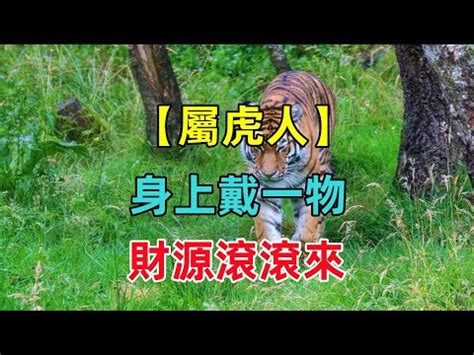 屬虎房子座向 子息二力意思